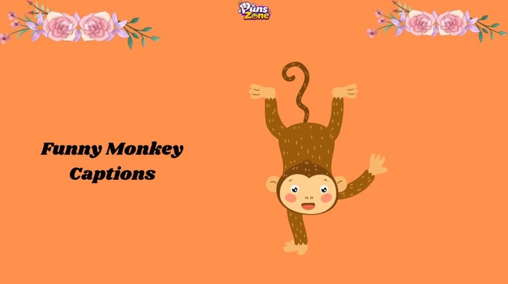 funny-monkey-captions