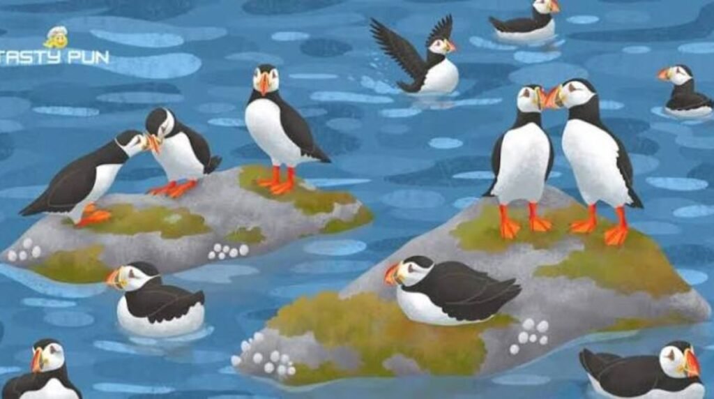 puffin-puns-for-wildlife-lovers