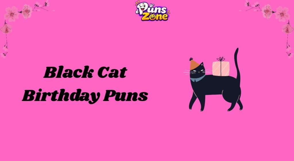 Black Cat Birthday Puns