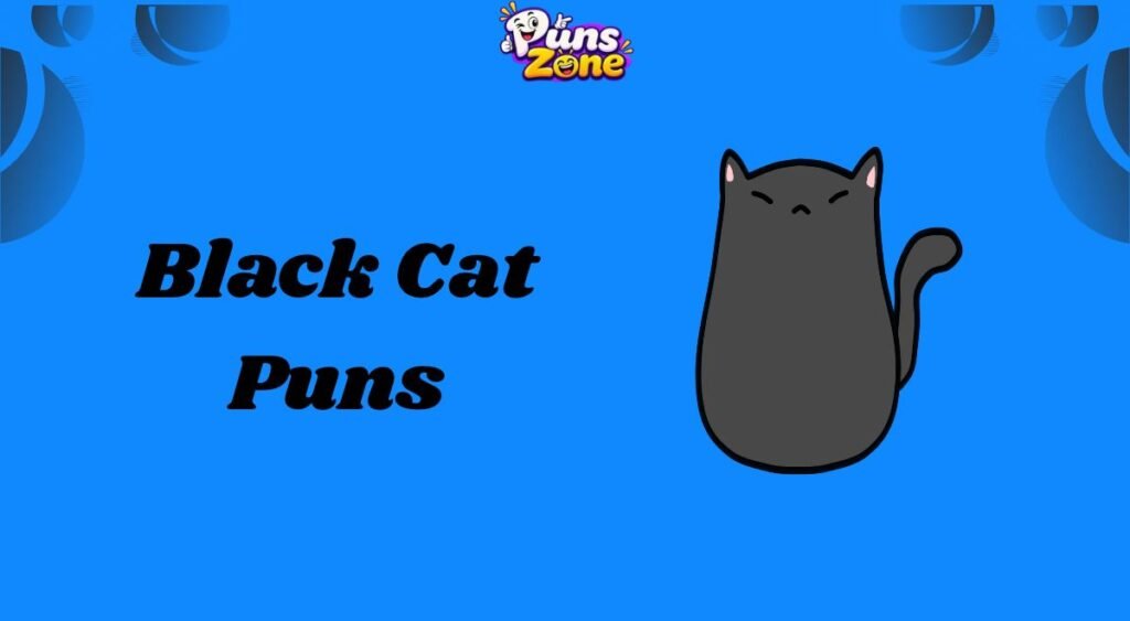Black Cat Puns