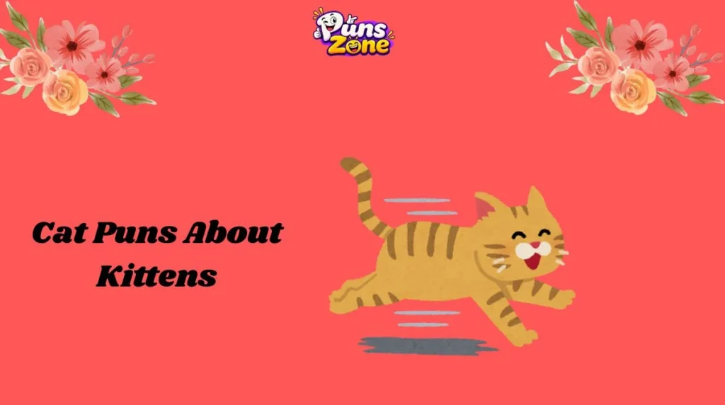 Cat Puns About Kittens