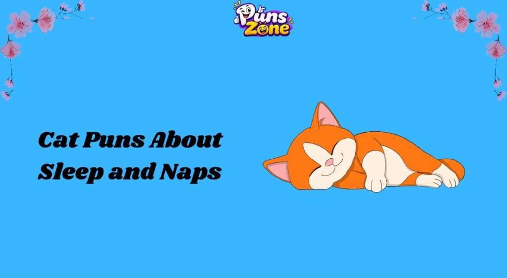 Cat Puns About Sleep and Naps