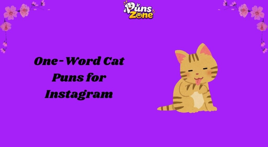 One-Word Cat Puns for Instagram