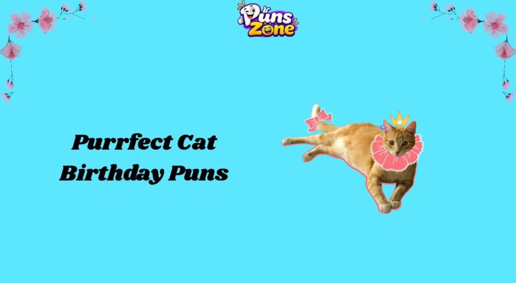 Purrfect Cat Birthday Puns