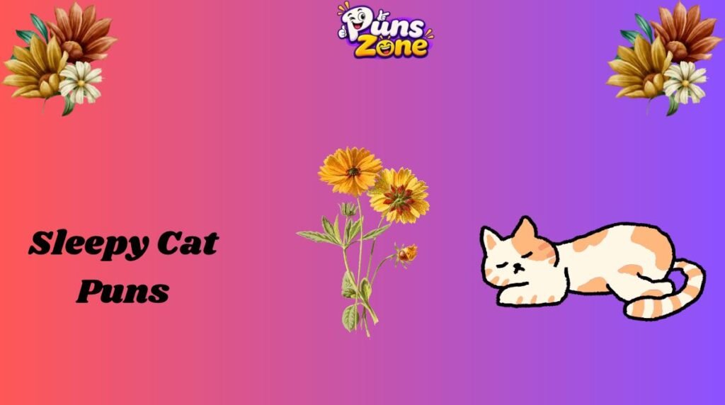Sleepy Cat Puns